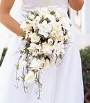 All White Cascading Bouquet